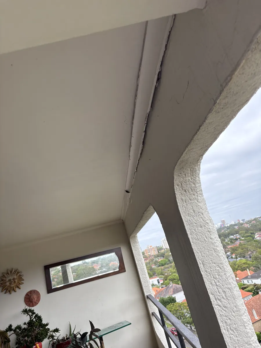 Freshly painted ceiling meeting a cornice line