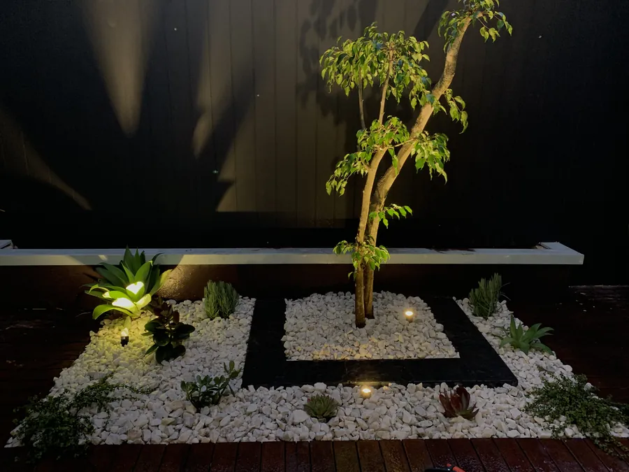Courtyard garden at night with a feature tree, pebble bed and uplighting