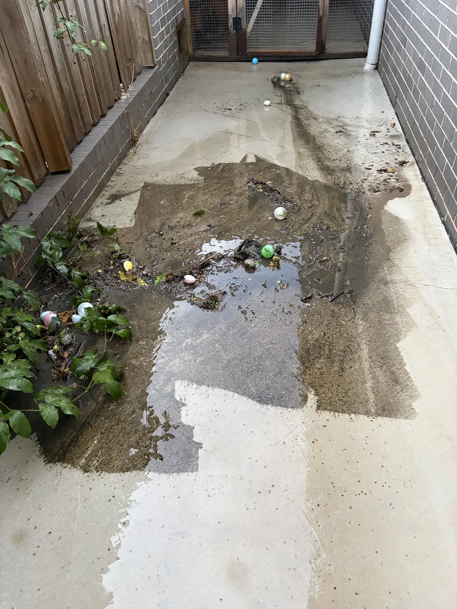 Concrete side path half cleaned, showing the difference after pressure washing